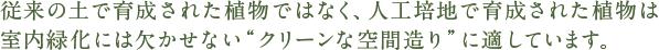緑に覆われた大壁面が癒しの空間を演出します。従来の土で育成された植物ではなく、人工培地で育成された植物は室内緑化には欠かせない“クリーンな空間造り”に適しています。 
