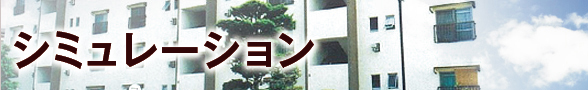 ミュレーション