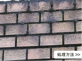 処理方法