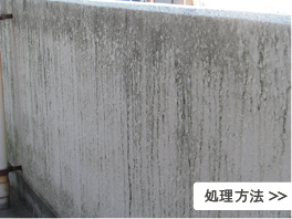 処理方法