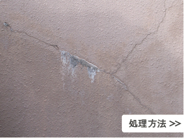 処理方法