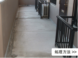 処理方法