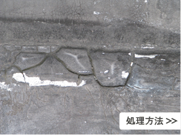 処理方法