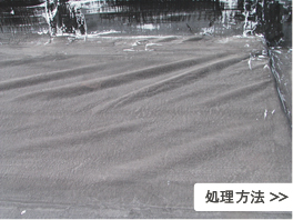 処理方法
