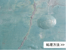 処理方法
