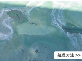 処理方法